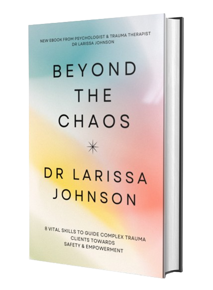 Beyond the chaos - ebook